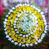 鹤岗开业花篮